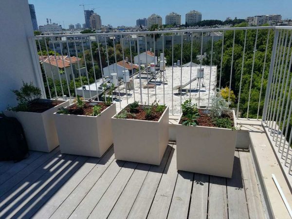 גינות גג ומרפסת